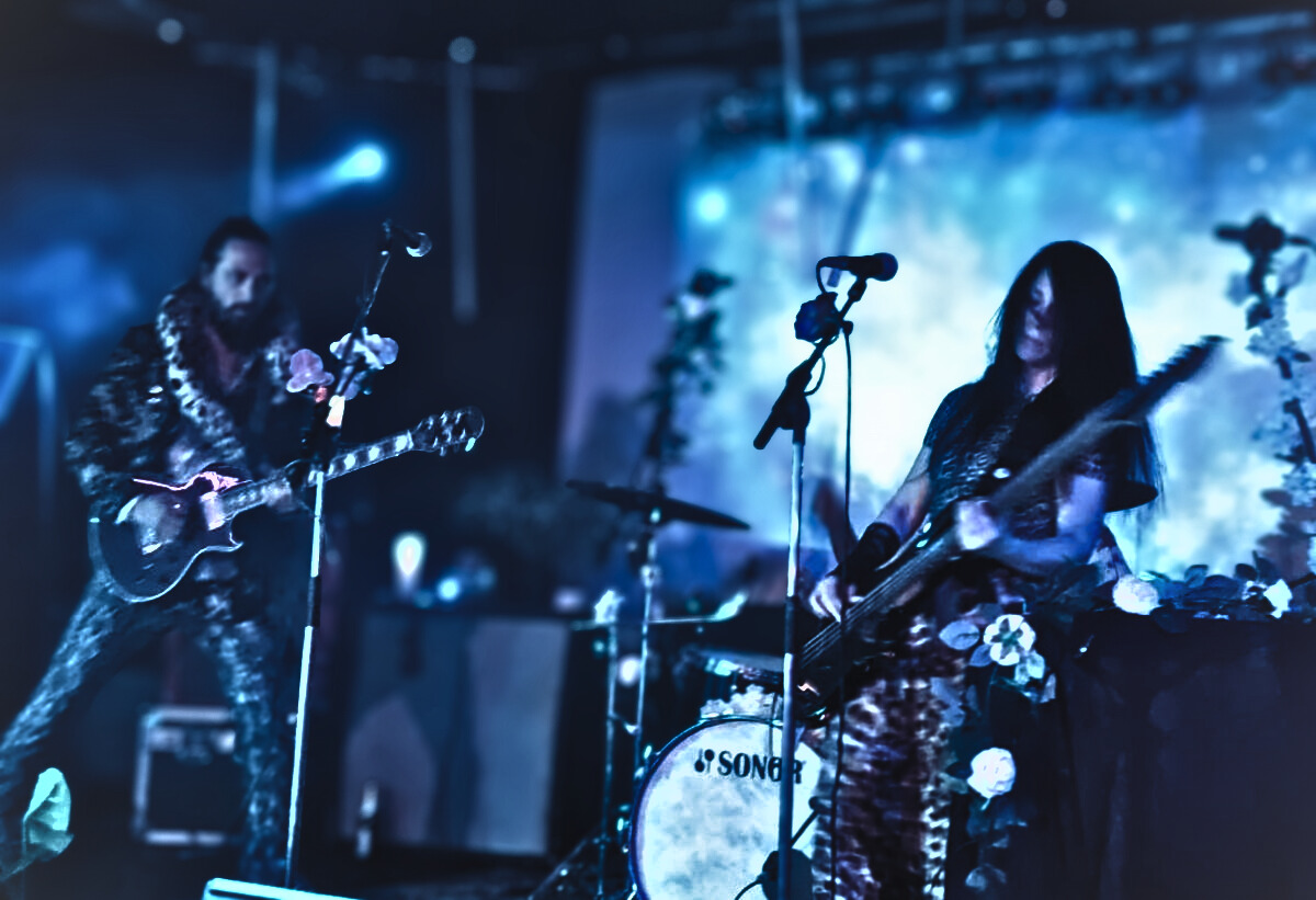 The Dead Orchids - Konzert